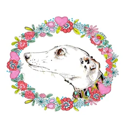 Silvertips Windhund mit Blumenrand, 2012
